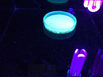 certificación en buenas prácticas de laboratorio